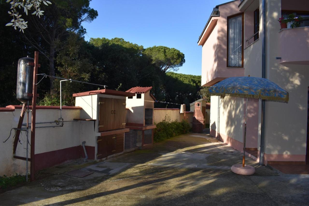 Apartments Sime Soline Biograd Na Moru Eksteriør billede